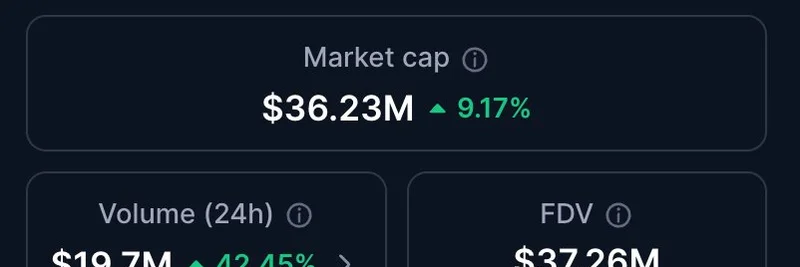 CZ 的狗 BROCCOLI：BNB Chain 上被低估、蓄势待发的迷因币